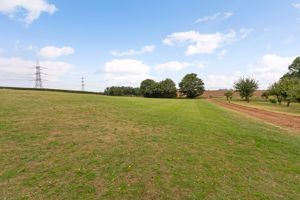 Paddock View- click for photo gallery